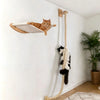 Wall-Mounted Cat Hammock Set with Climbing Shelves and Sisal Scratching Posts