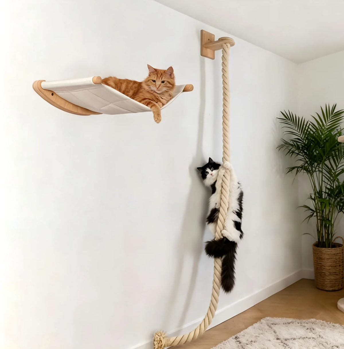 Wall-Mounted Cat Hammock Set with Climbing Shelves and Sisal Scratching Posts
