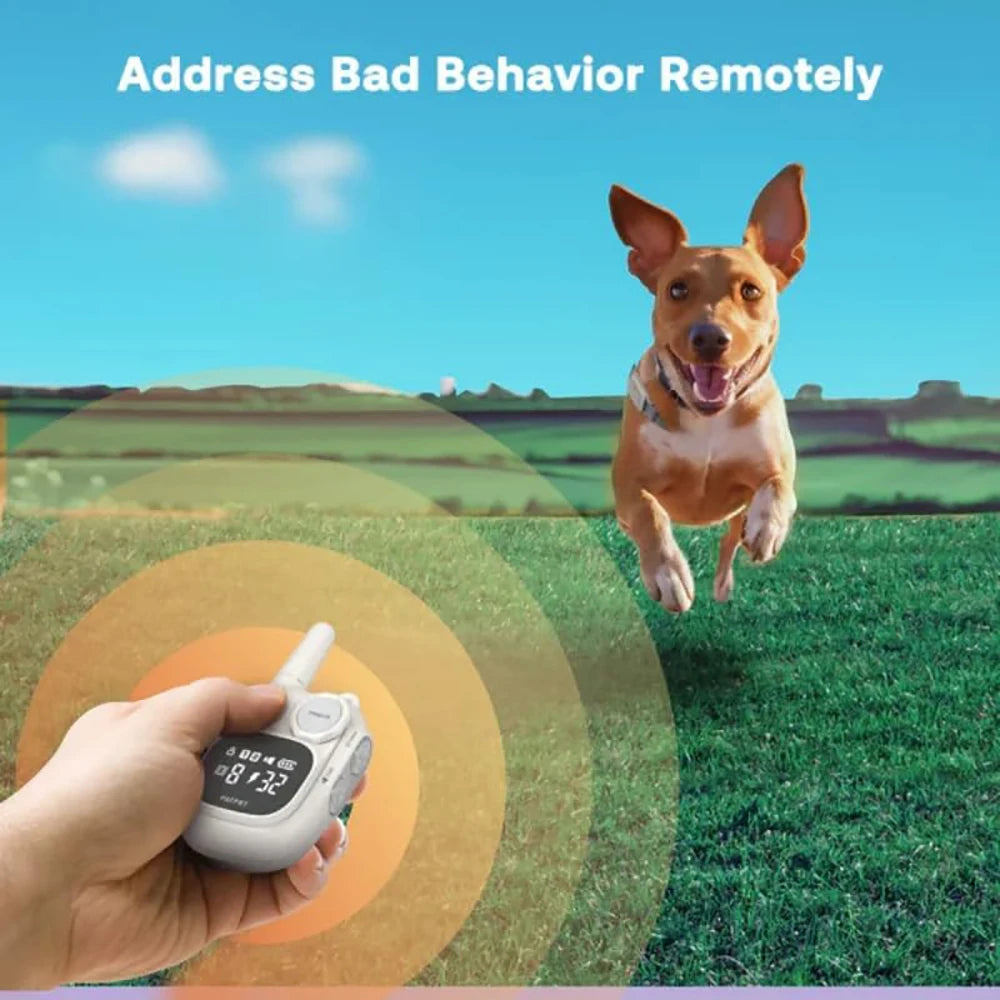 Mini Remote Dog Training Collar – Waterproof with 600m Range