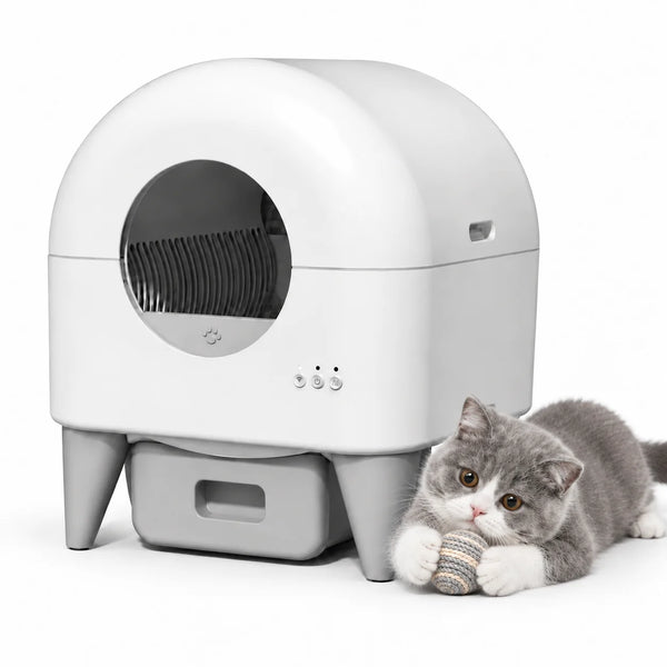 A white automatic self-cleaning cat litter box with a cat resting on its surface.