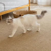 Imitation Sisal Cat Scratching Mat Cut To Size