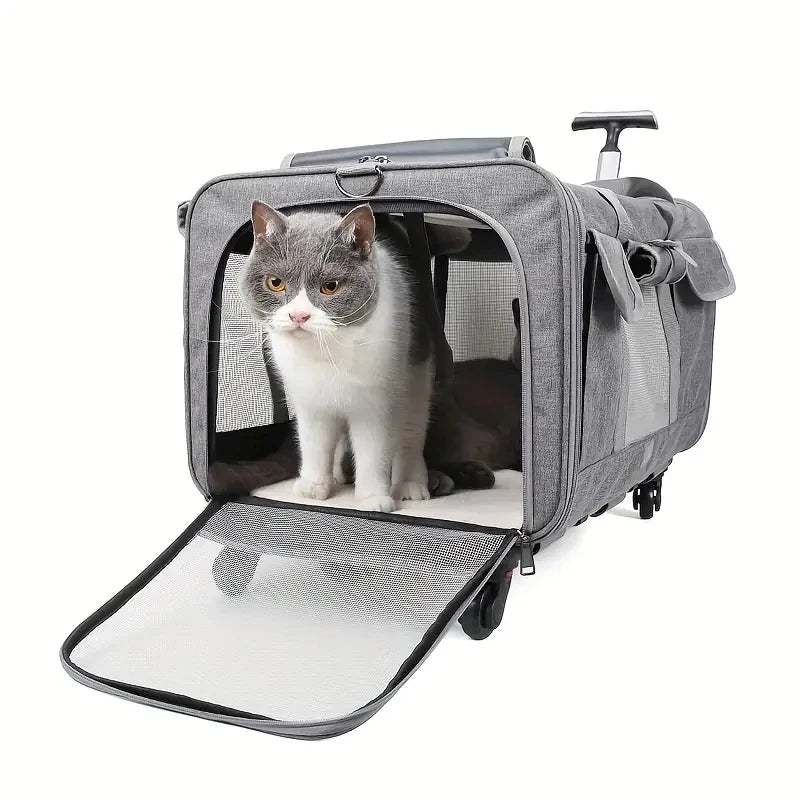 Un transporteur portable gris pour animaux avec une porte ouverte montrant un chat à l'intérieur.