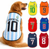 Un chien doré portant un gilet avec les maillots des équipes nationales d'Argentine, Brésil, Portugal, Italie, France et Espa