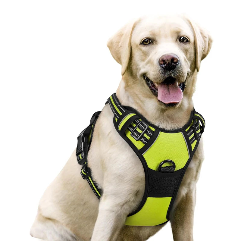 A light-colored Labrador dog wearing a neon yellow no-pull dog harness with black padding and dual leash clips.