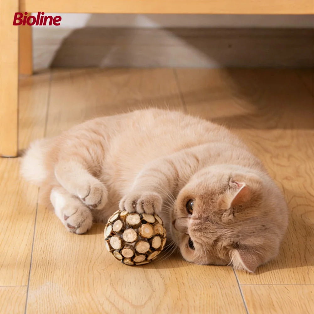 A fluffy ginger cat is lying on a wooden floor next to a silvervine catnip toy ball.
