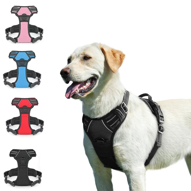 A white dog wearing a black no-pull harness with multiple color options and reflective padding.