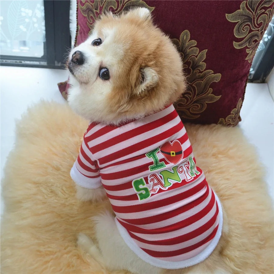 A fluffy golden dog wearing a red and white striped shirt with a letter print on its chest.