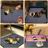 Reusable Non-Slip Guinea Pig Cage Liner Pad