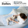 Cooling Mat for Medium to Large Dogs — Breathable, Washable, Non-Slip