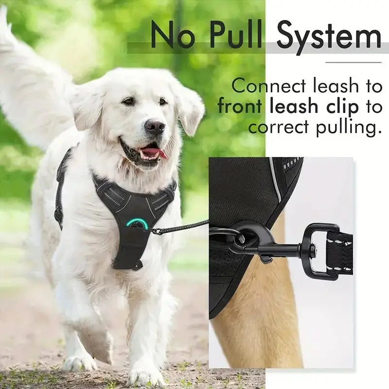 A white dog wearing a black no-pull harness is shown walking outdoors, with an inset showing the dual leash clip feature.