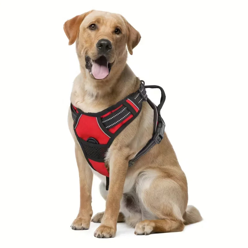 A golden retriever wearing a red and black no-pull dog harness with reflective padding.
