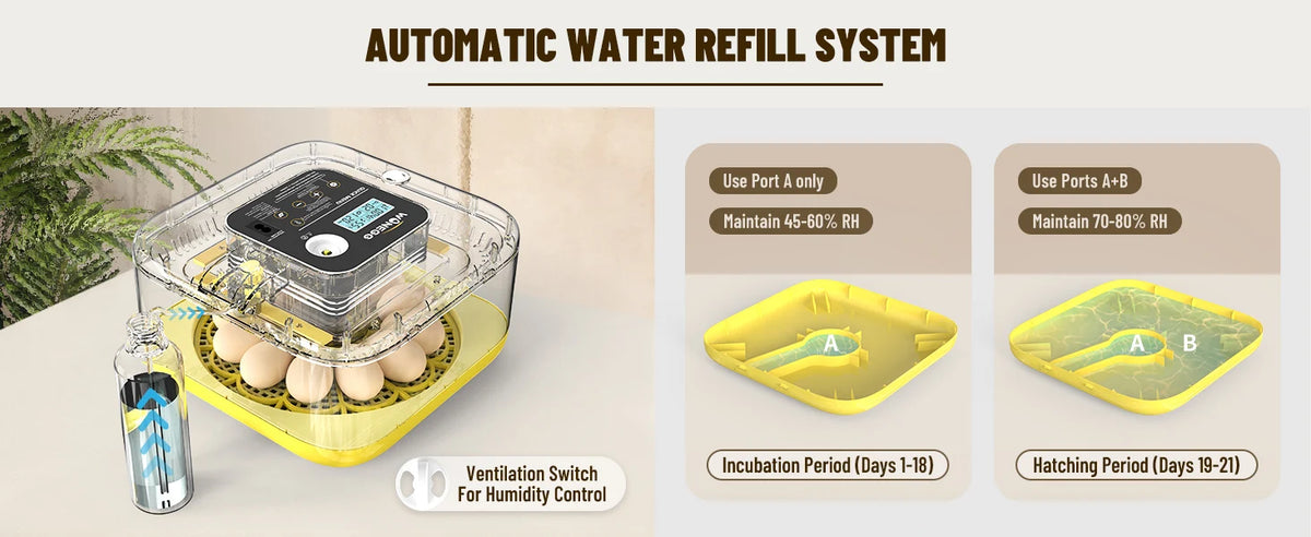 Automatische Wasserbefüllungsanlage mit Eierinkubator und Anschlüssen A und B für Inkubation und Schlüpfen