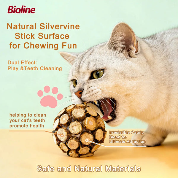 A cat is chewing a natural silvervine stick surface toy for play and teeth cleaning.