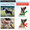 Reflektierender Dornenkragen für Hunde