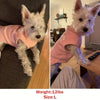 A white dog wearing a pink fleece sweater sitting on a dark couch.