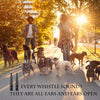 A group of dogs are outdoors in a park with a person holding a whistle.
