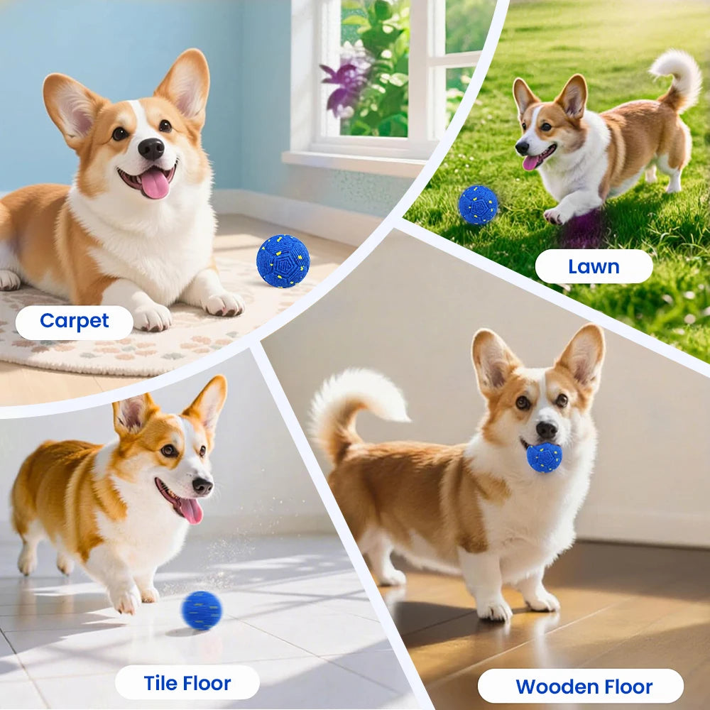 A small dog plays with a blue ball on various flooring surfaces including carpet, tile, and wood.