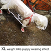 Waterproof Dog Raincoat with Harness Opening for Small & Medium Breeds
