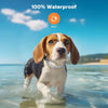 Mini Remote Dog Training Collar – Waterproof with 600m Range