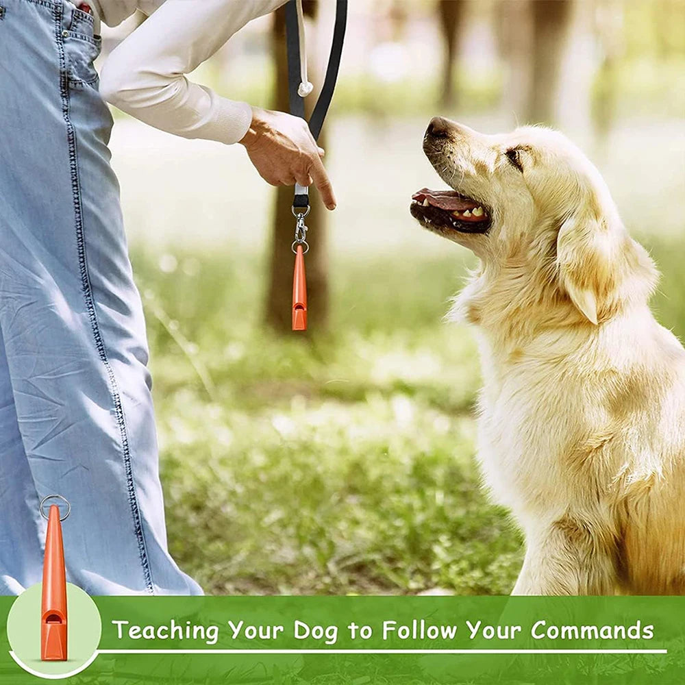 A golden dog looks up while a person holds an ultrasonic dog training whistle with a lanyard in a grassy outdoor setting.