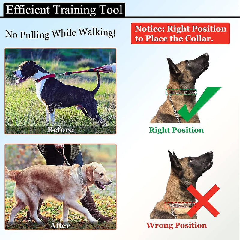 Reflektierender Dornenkragen für Hunde