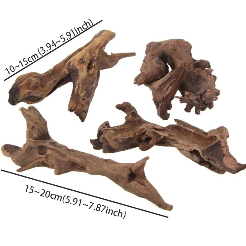 Several pieces of natural driftwood used as aquarium decor, showing various lengths and textures.