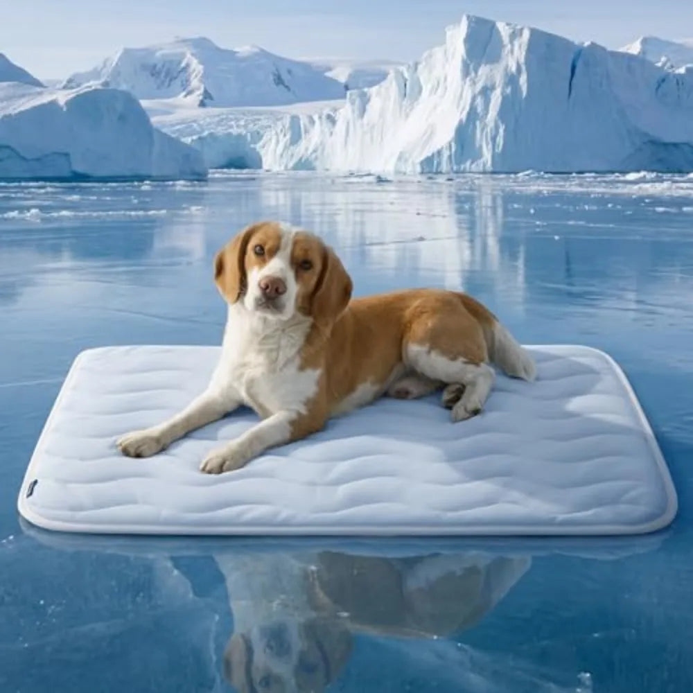 Cooling Mat for Medium to Large Dogs — Breathable, Washable, Non-Slip