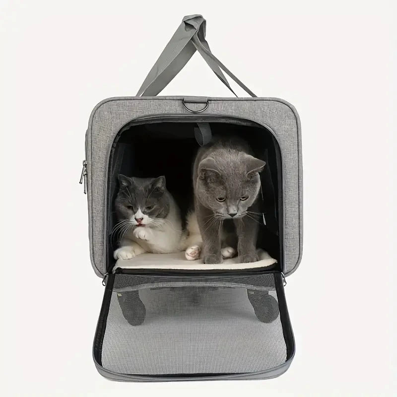Un transporteur portable gris pour animaux avec un toit ouvert, montrant un petit chat gris et blanc à l'intérieur.