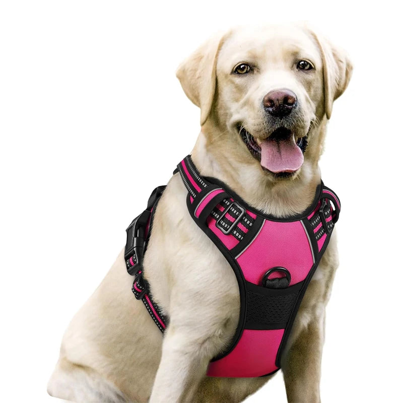 A light-colored Labrador dog wearing a pink no-pull dog harness with black padding and reflective details.