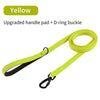 Long Waterproof Dog Training Leash with Padded Handle