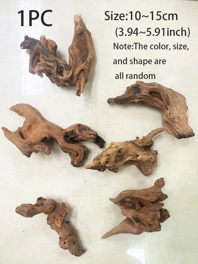 One piece of natural driftwood used as aquarium decor, showing various shapes and sizes.