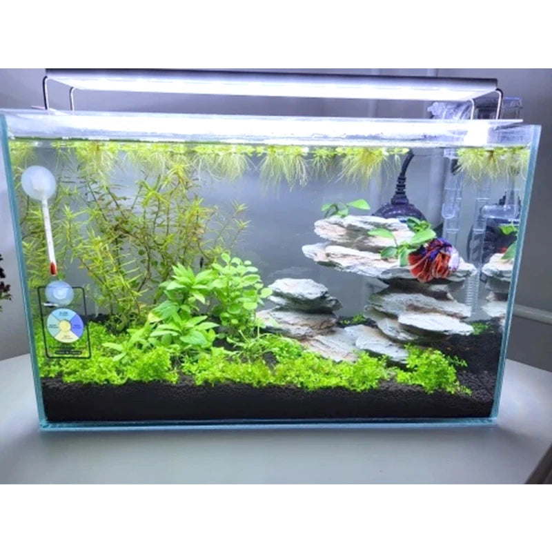 Lampe LED à clipser fine pour aquarium et plantes