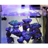 Couvercle en Maille Anti-Saut pour Aquarium