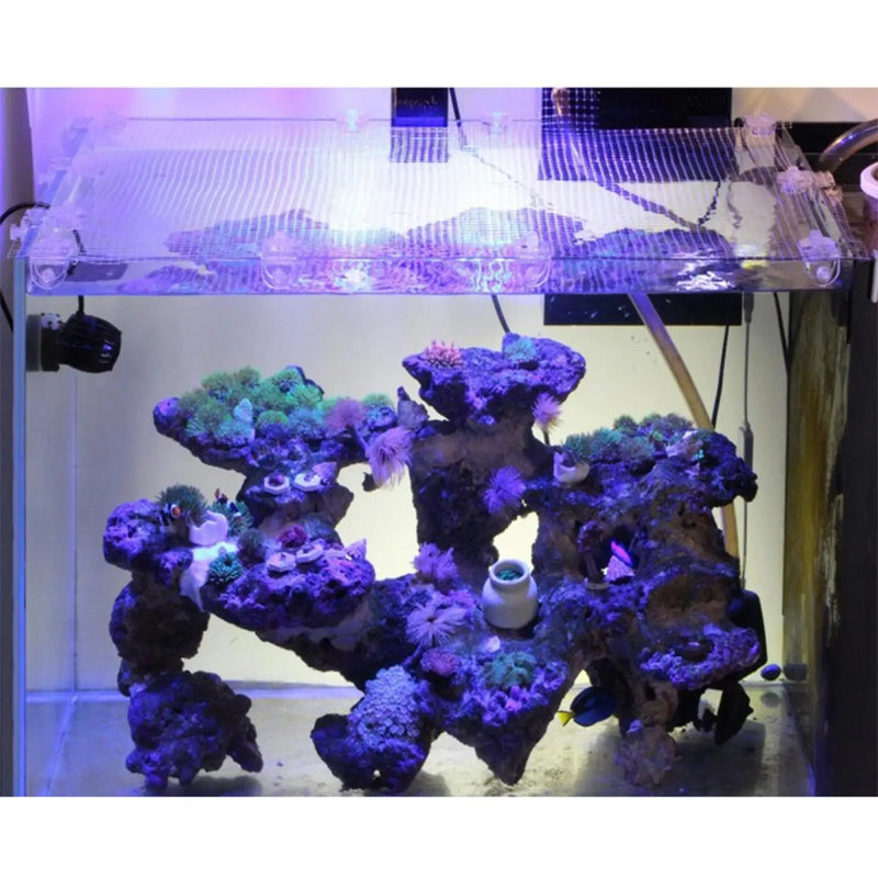 Couvercle en Maille Anti-Saut pour Aquarium