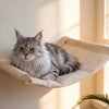 Wall-Mounted Cat Hammock Set with Climbing Shelves and Sisal Scratching Posts