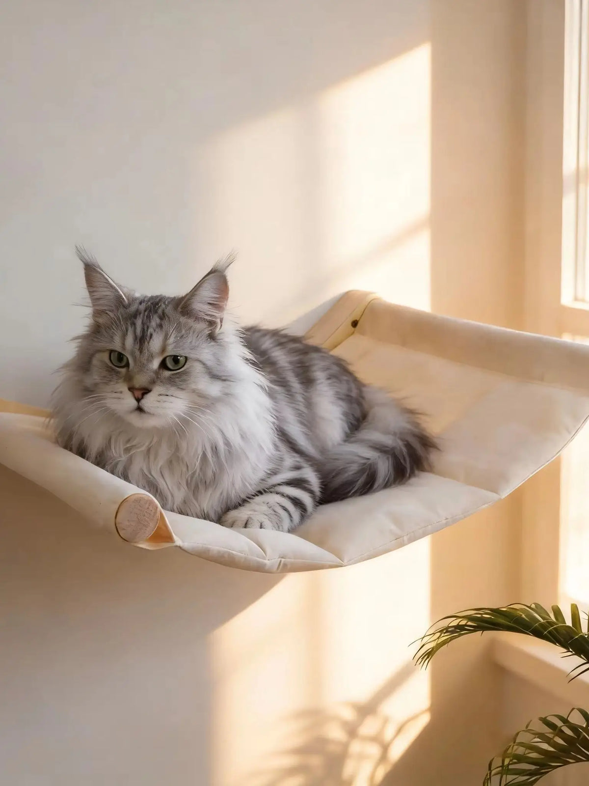 Wall-Mounted Cat Hammock Set with Climbing Shelves and Sisal Scratching Posts