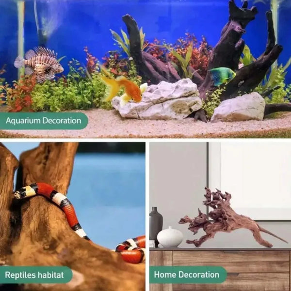 A display of natural driftwood used for reptile habitat and home decor.