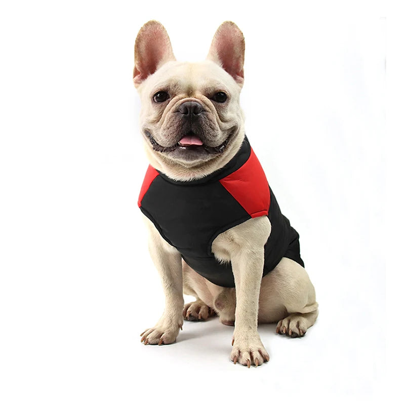 Winter Waterproof Dog Jacket for All Sizes