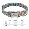 Personalisierte Nylon-Hundehalsband mit graviertem ID-Plättchen