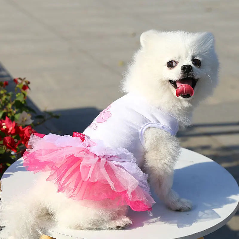 A white dog wearing a pink lace dress with ruffles, sitting outdoors.