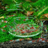 Glas-Aquarien-Fütterungsrohr mit Saugnapf