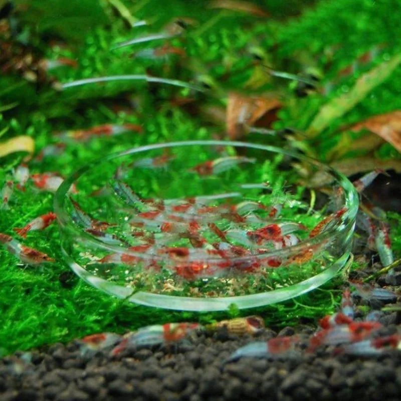 Glas-Aquarien-Fütterungsrohr mit Saugnapf