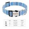 Personalisierte Nylon-Hundehalsband mit graviertem ID-Plättchen