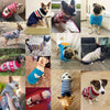 Suéter de Punto Acogedor para Perro
