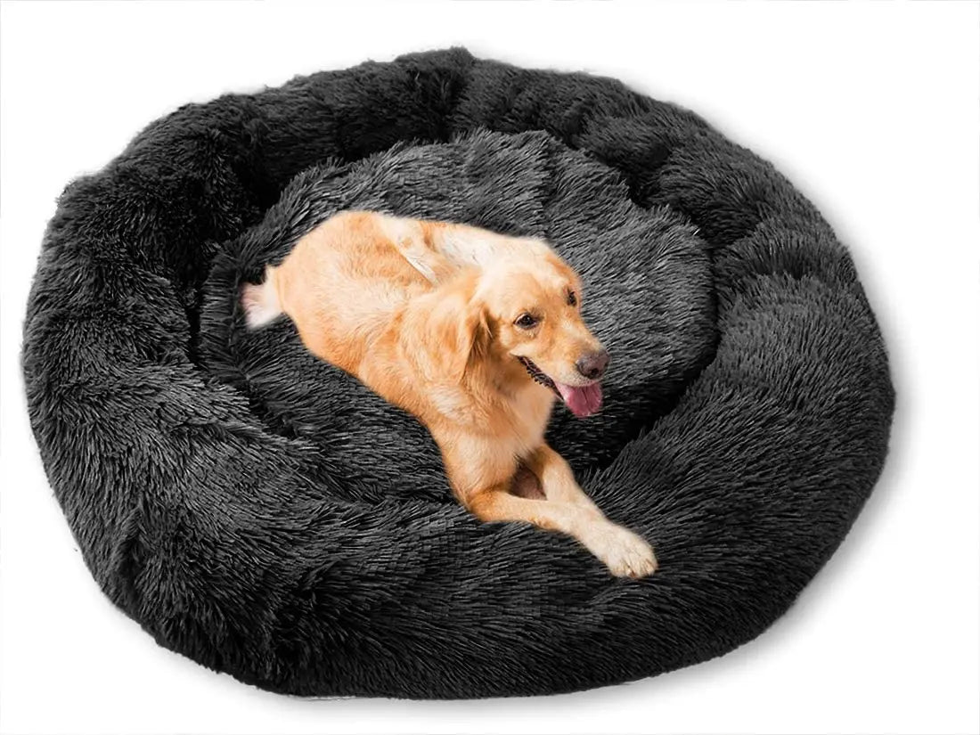 A golden-colored dog is resting inside a round, dark gray plush pet bed.