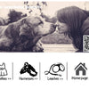 Impermeable para perros con estampado de cara divertida