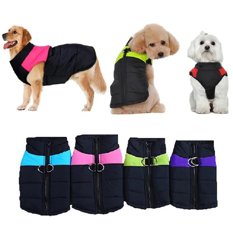Waterproof Zipper Dog Jacket for All Sizes