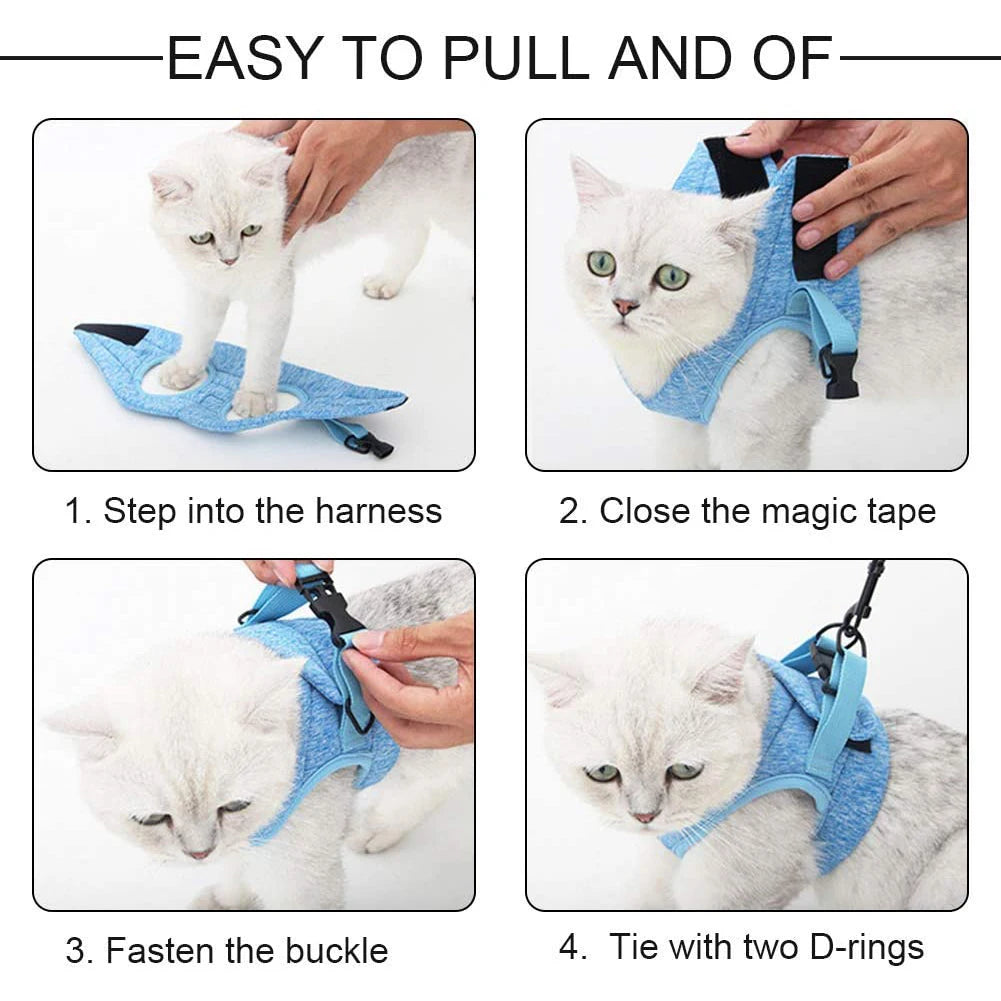 Step-by-step instructions showing how to put on and fasten an escape-proof cat harness.