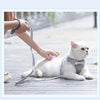 A white cat wearing a gray bowknot harness and leash is being held by a person outdoors on a wooden deck.