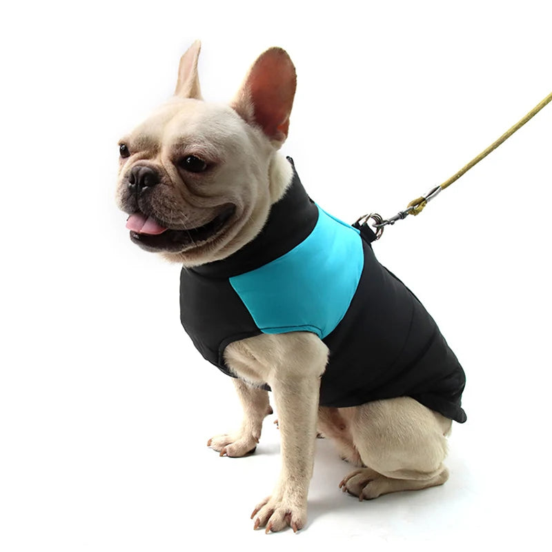 Winter Waterproof Dog Jacket for All Sizes